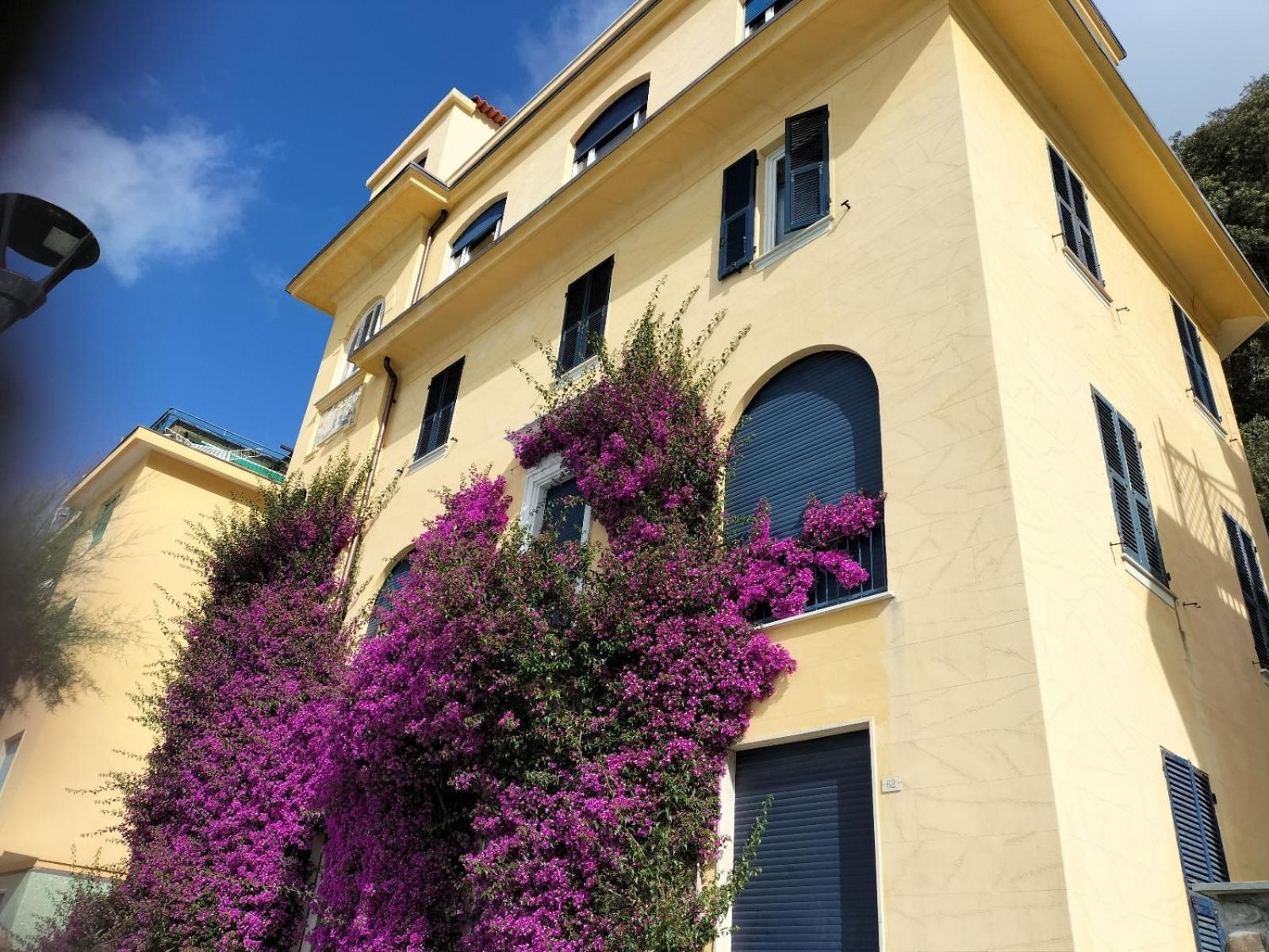 La Bouganville Beatiful Sea View Monterosso al Mare Exterior photo